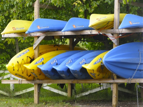 Blue and Yellow Kayaks for rent