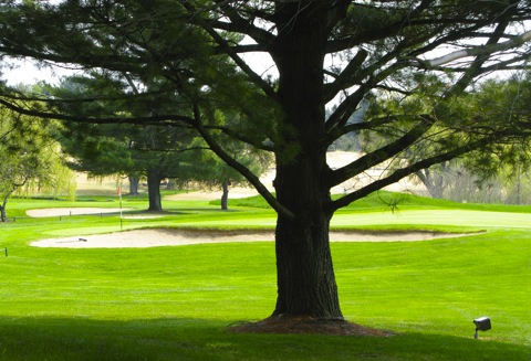 Golf course with green and sand traps - west Michigan