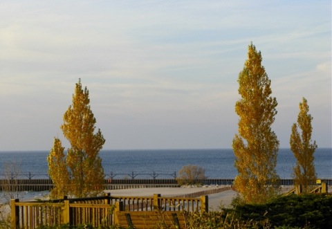 Fall trees overlooking the channel at South Haven, MI