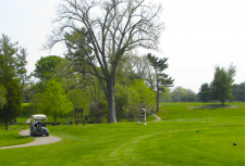 Golf cart and golfer on a course in spring in southwest Michigan