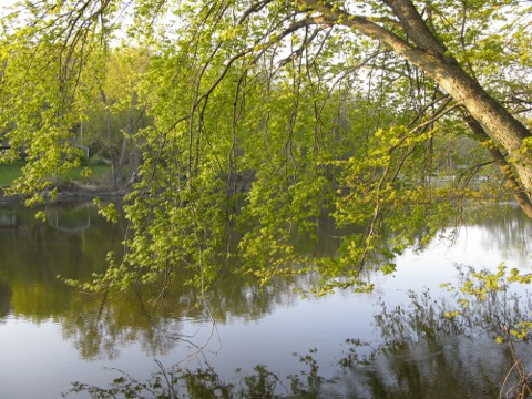 spring on the Kalamazoo River at New Richmond