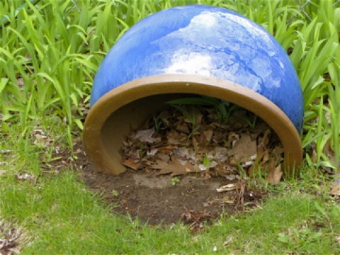 a blue pot lying on it's side in green grass