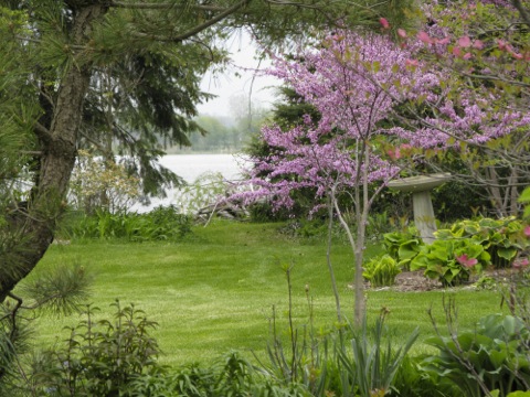 spring garden scene