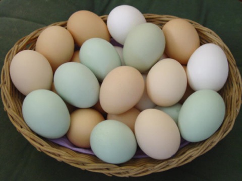 pastel colored eggs in a basket