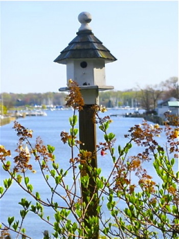 Birdfeeder on a pole along the Kalamazoo River in Saugatuck, Michigan