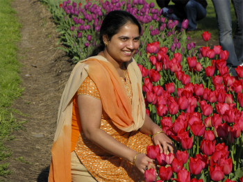 tulip-indianwoman