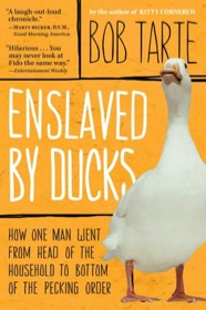 Cover of Enslaved by Ducks by Bob Tarte