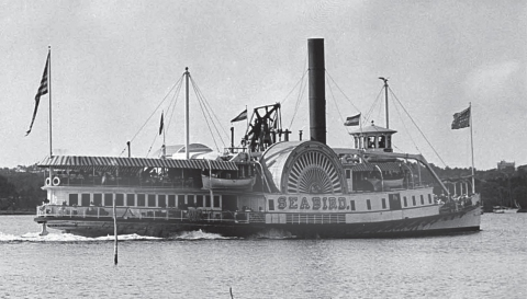 Photo of the Steamboat Seabird from The Independent