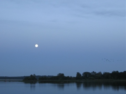 Moon rising over Wade's Bayou - Douglas, MI
