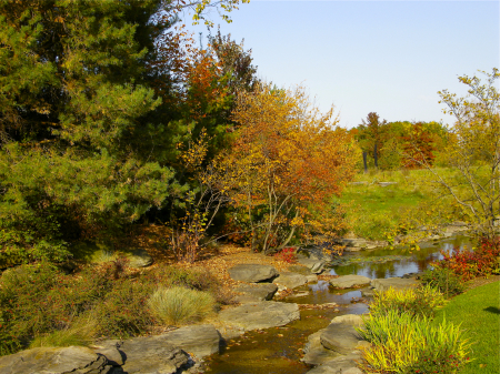 view along a creek in the fall at Meijer Gardens, Grand Rapids, MI