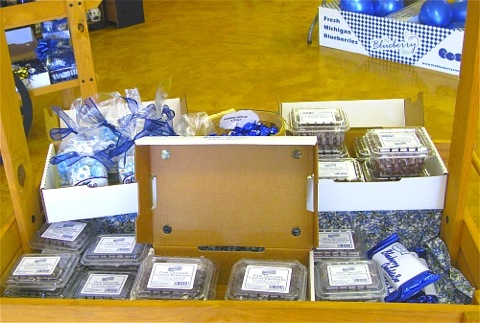 Blueberries covered in chocolate, chocolate bars and blueberry caramels at The Blueberry Store in South Haven, MI.