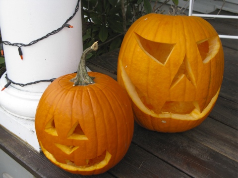 Carved pumpkin faces in west Michigan