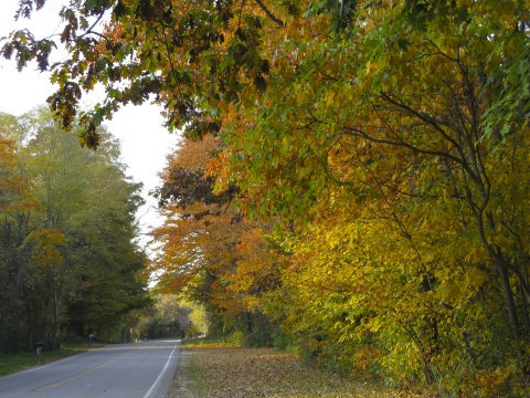 Country road with leaves turning in west Michigan
