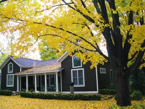 House with fall leaves - Douglas Michigan