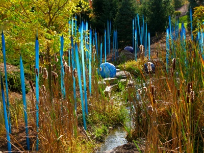 Chihulybluefield