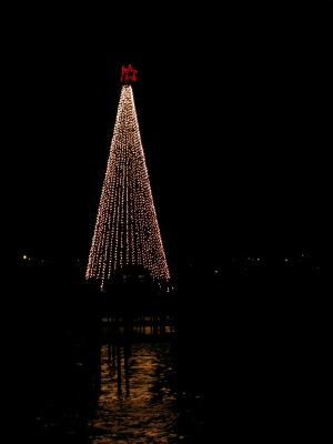 HarborXmasTree