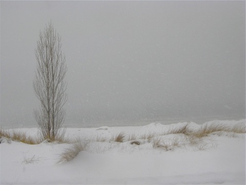 Snow on Oval Beach -Saugatuck, Michigan - copyright Sharon Pisacreta