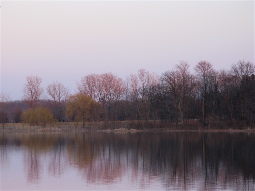 photo of budding trees in March reflected in Wade's Bayou, Douglas, Michigan