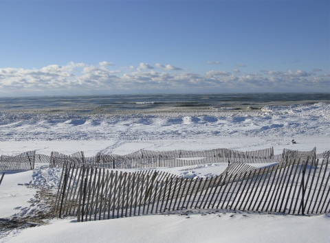 Frozen Oval Beach in Winter