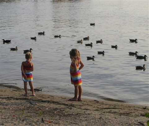 Kids watching ducks by the waterside