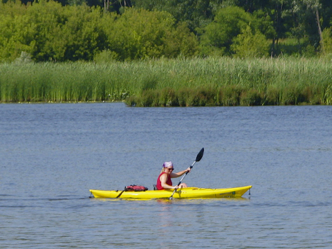 kayaker in a yellow kayak on the Kalamazoo River in Saugatuck-Douglas, Michigan