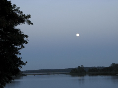 Moon over Wade's Bayou - Douglas, Michgan