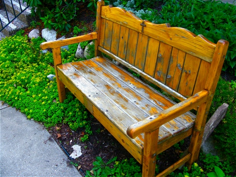 Weathered teak bench in Douglas, Michigan