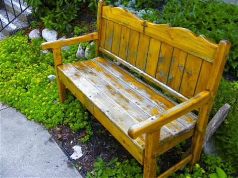 Weathered teak bench in Douglas, Michigan