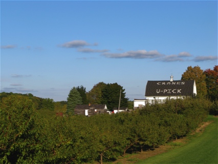 Crane's U-Pick Orchard barn roof and apple tree orchard in Fennville, Michigan