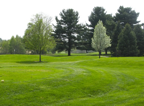 Golf course with trees in spring - west Michigan