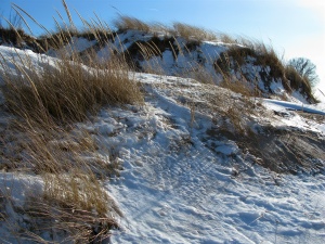 Snow along the beach on a cross country skiing trail - Van Buren County, Michigan