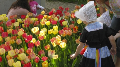 Little_Dutch_Girl_Tulips-8910