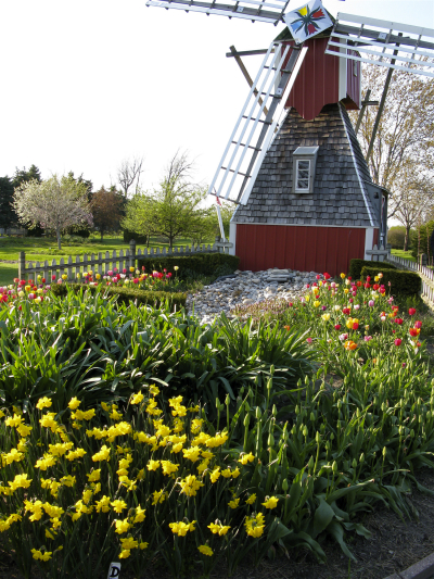 Windmill at Veldheer Tulip Farm
