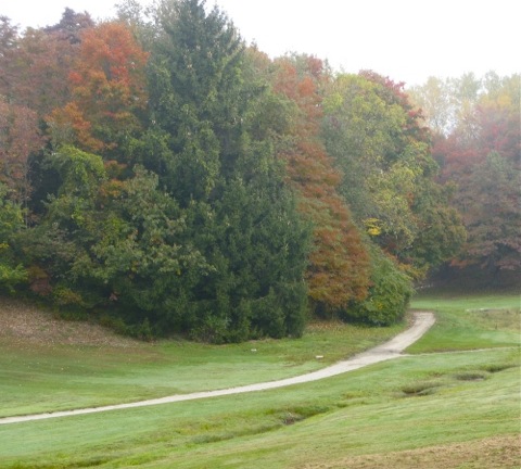 Autumn leaves on trees along a golf course - Saugatuck, MI
