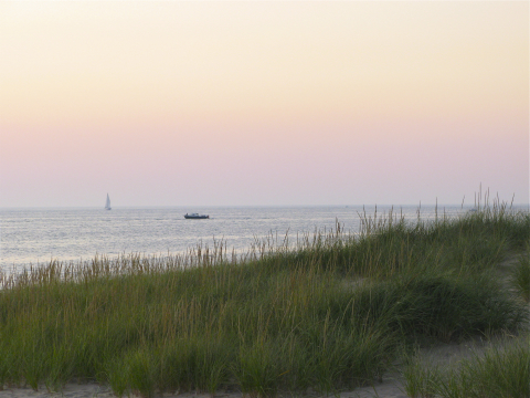 Beach grass and boats on Lake Michigan at sunset at Oval Beach, Saugatuck, Michigan