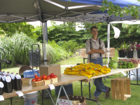 South Haven's Farmers Market