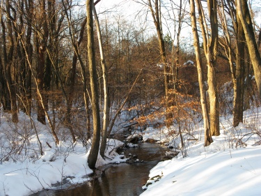 Winter stream in the sun and snow - Michigan
